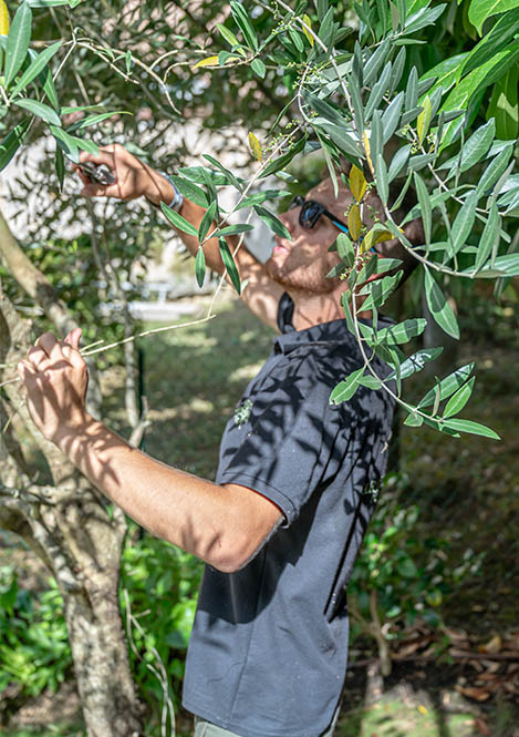 Entretien de jardins sur Fontainebleau