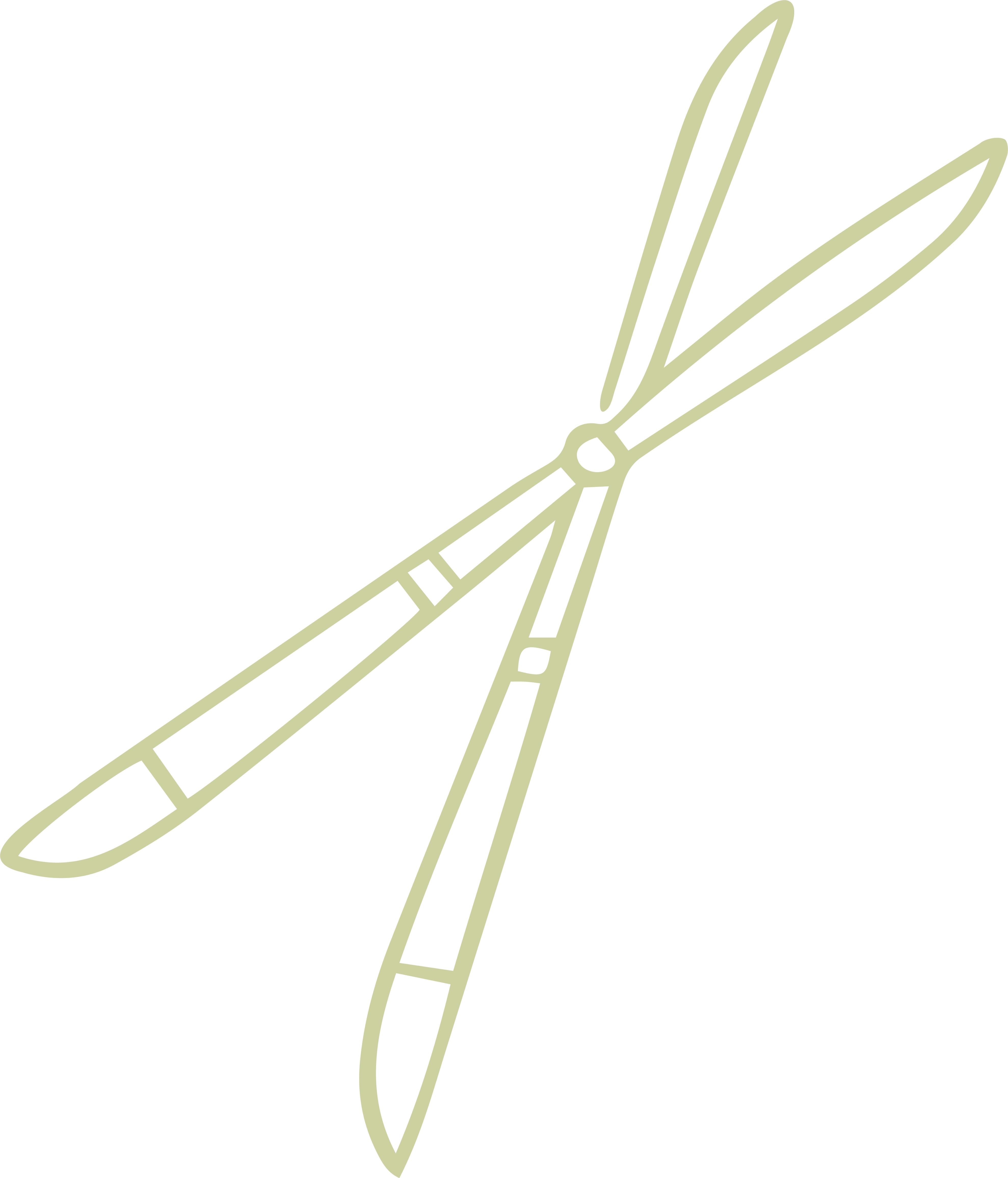 Entretien parcs et jardins