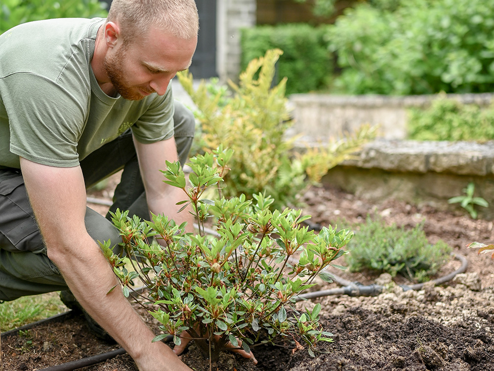 Plantations et engazonnement