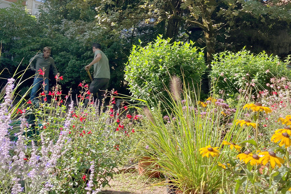 Plantations et engazonnement